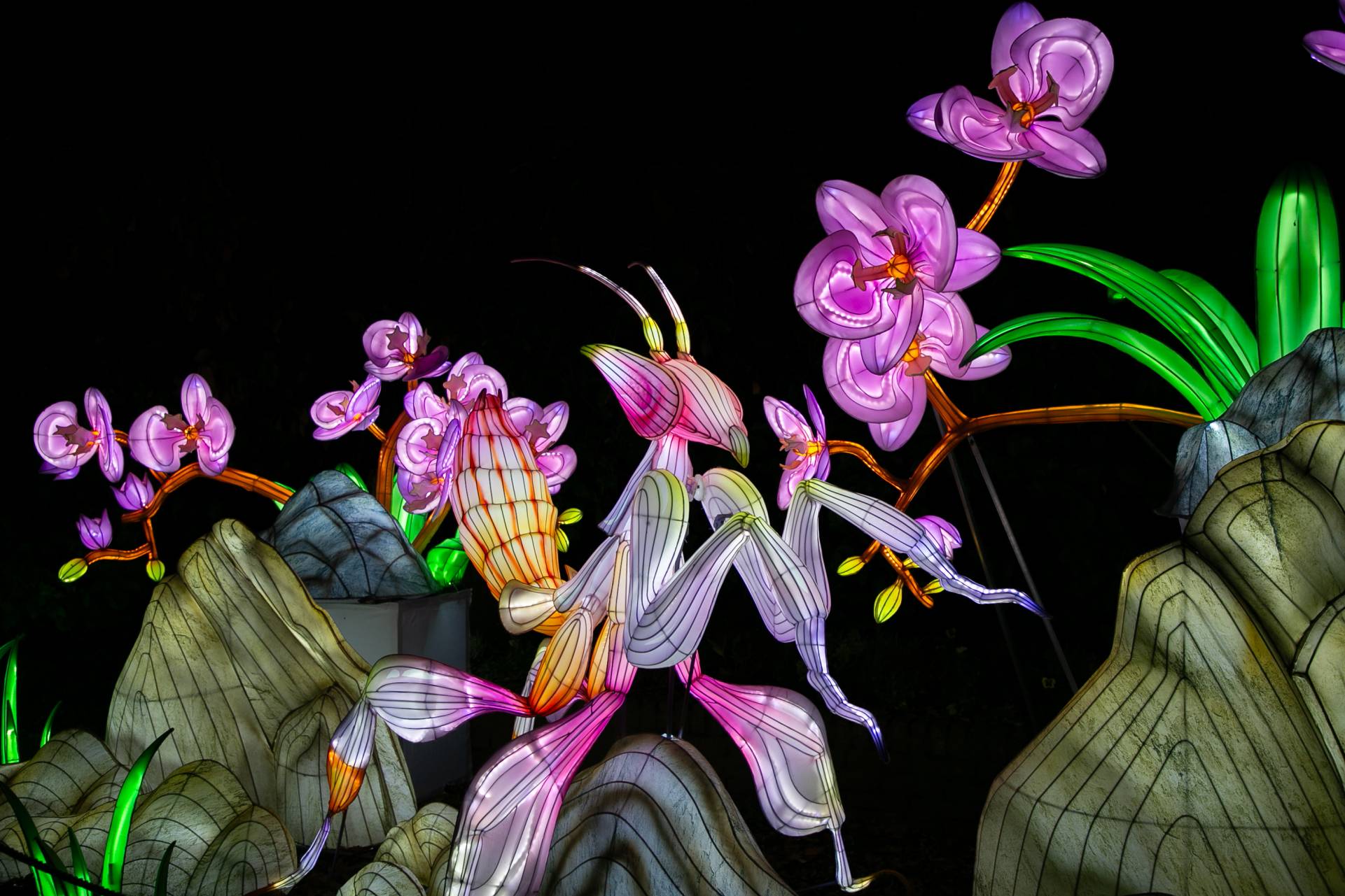 Jungle de lumières 2 - Zoo de jurques Structures lumineuse d'animaux
