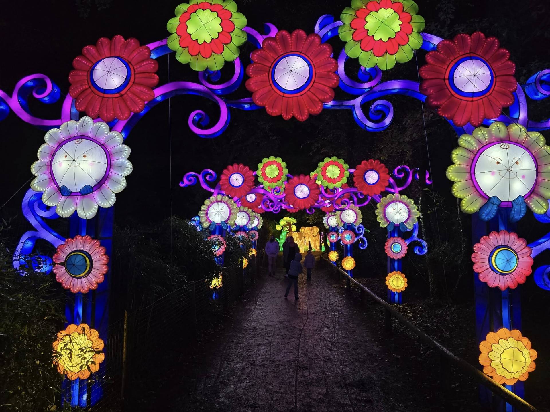 Jungle de Lumières - Zoo de Jurques Jungle de Lumières Arches