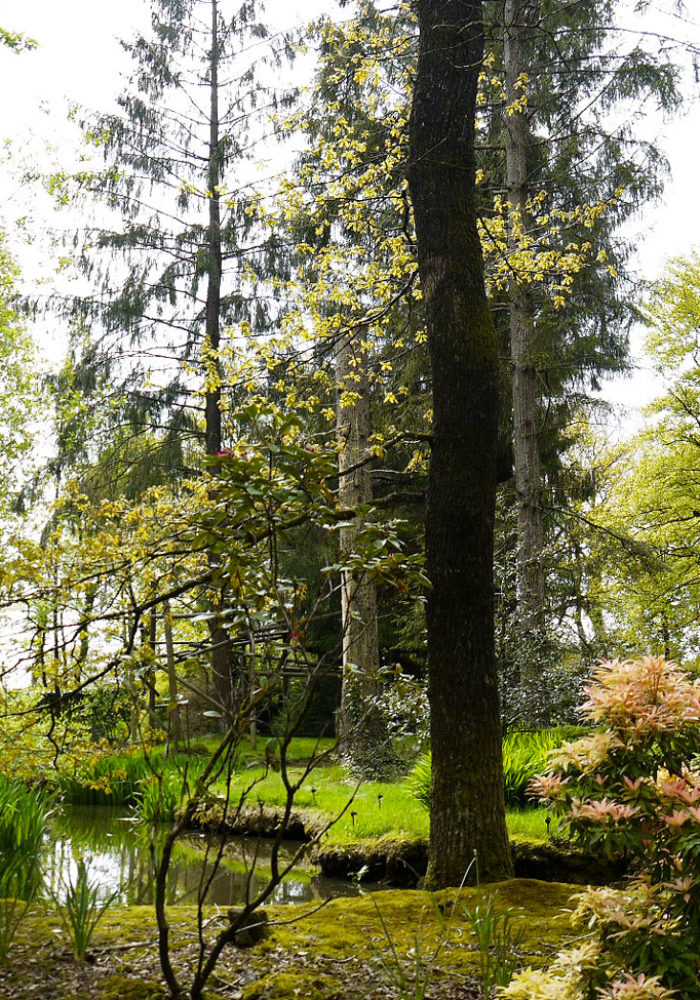 Vignette Volière tropicale