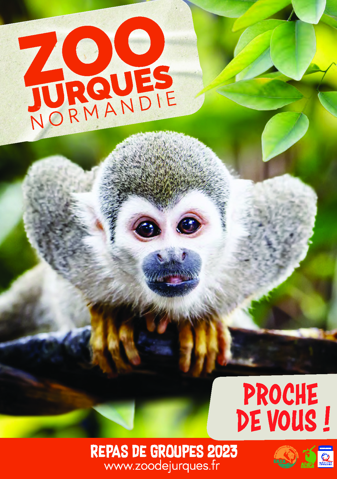 vignette Menu de groupes