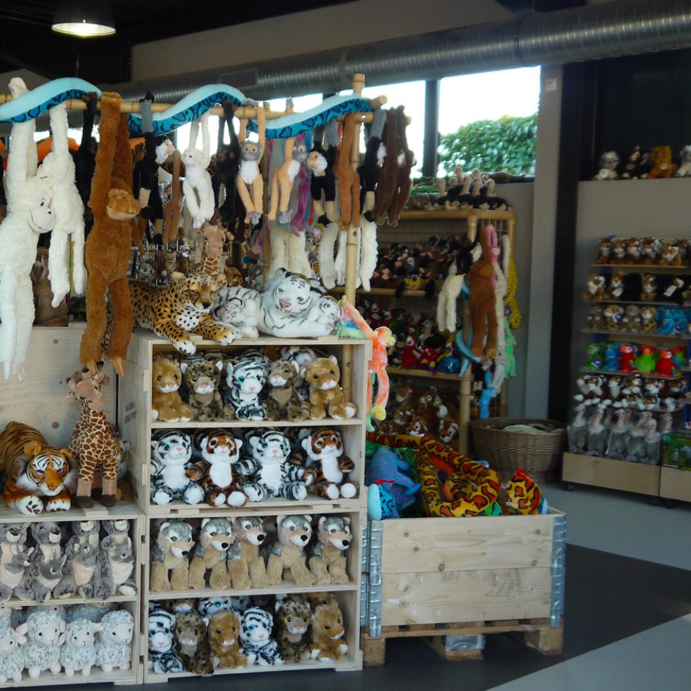 Vignette Une boutique citoyenne