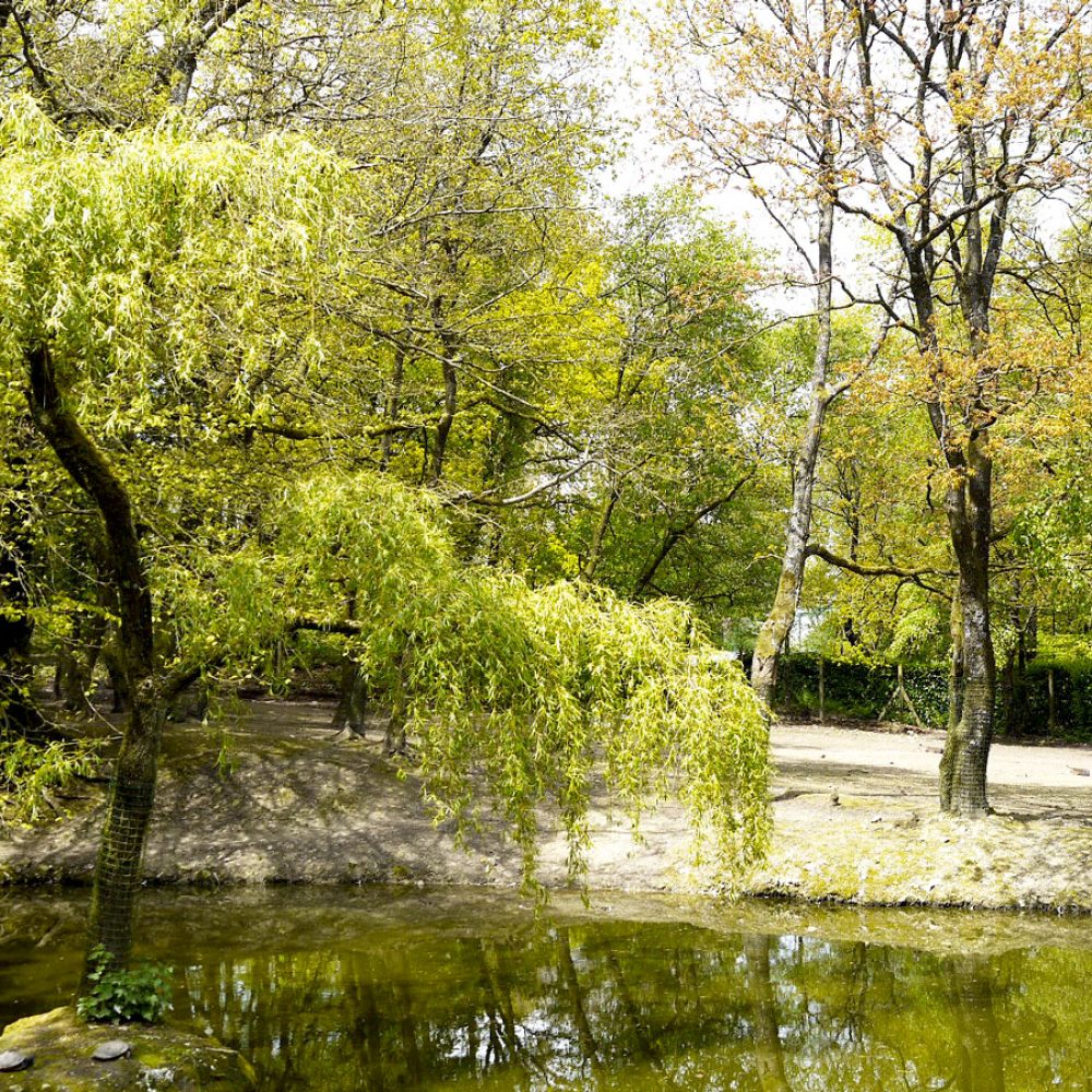 Vignette Plaine <br> sud americaine