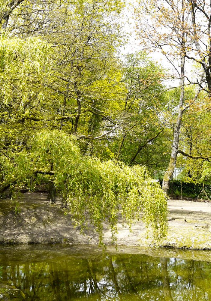 Vignette Les îles <br> aux singes