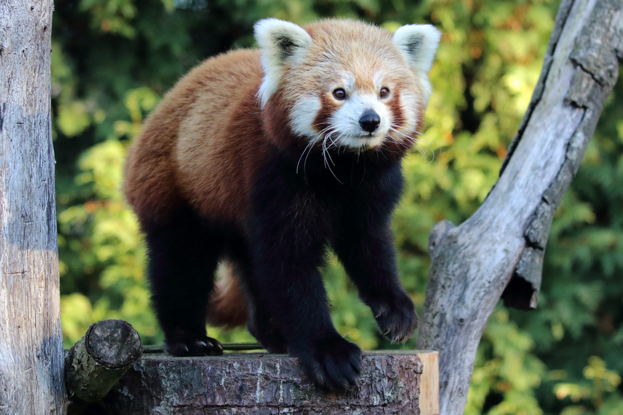 Saisissez le titre - Mode de vie et alimentation