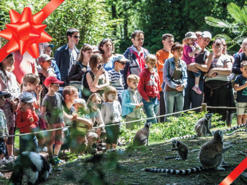 photo Billet d’entrée Zoo de Jurques