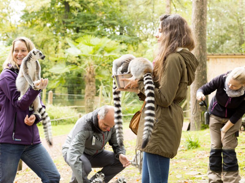 photo Rencontre VIP avec les lémuriens
