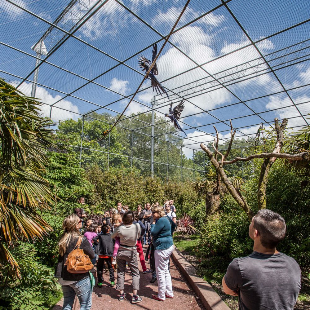 Vignette Volière tropicale