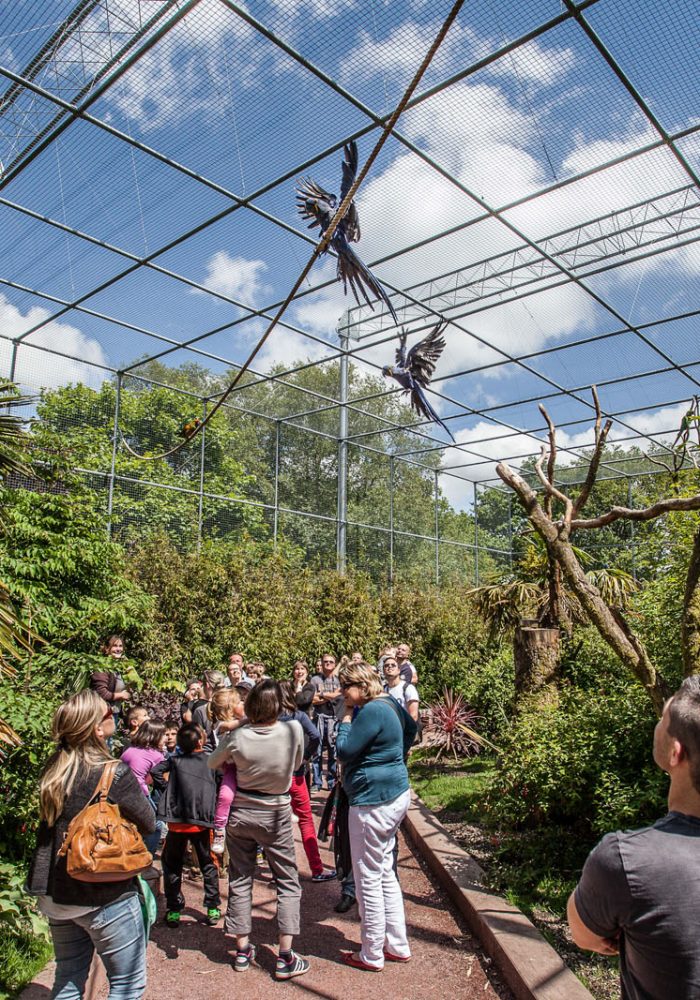 Vignette Les îles <br> aux singes