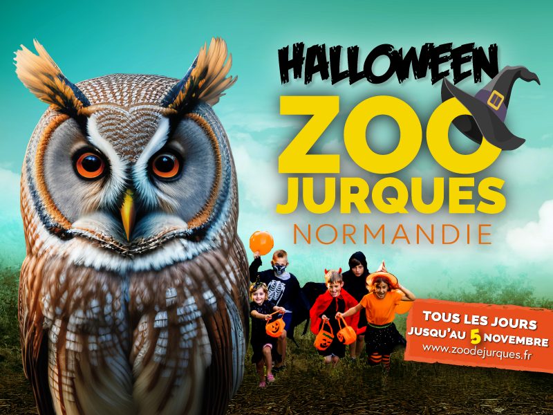 Halloween au zoo