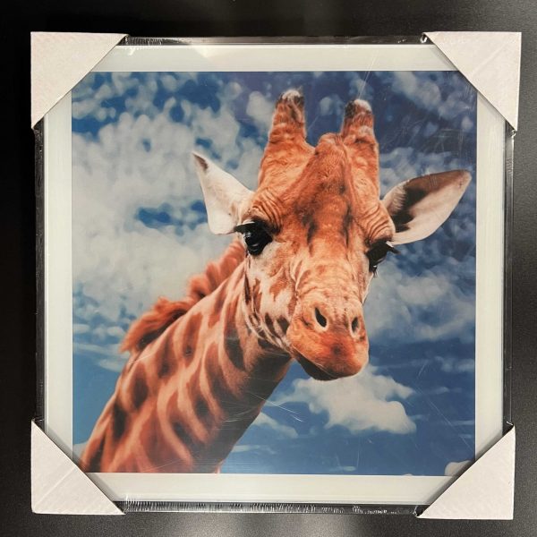 Cadre photo couleur girafe