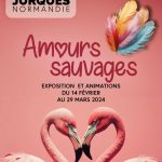 Fêtez la Saint-Valentin au plus près des animaux