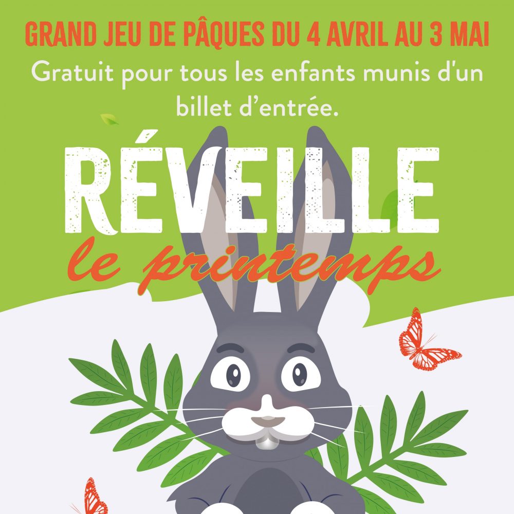 Vignette Pâques au Zoo de Jurques : Réveiller le printemps ! 🐰🌷