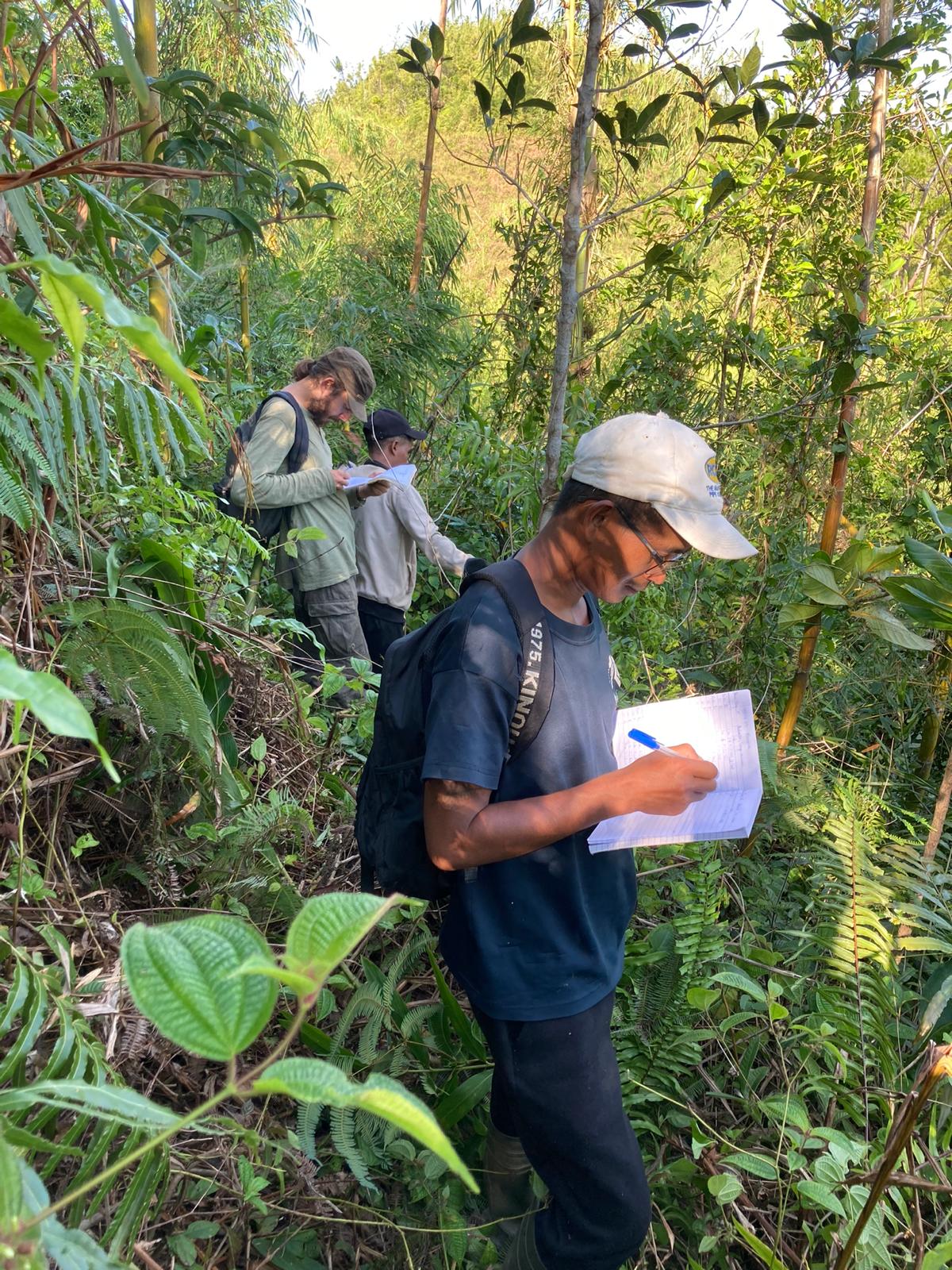 Scientifiques et guides locaux prenant des notes au stylo lors d'un suivi écologique dans les forêts denses de Madagascar pour le programme Helpsimus.