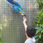 Séparateur de contenu