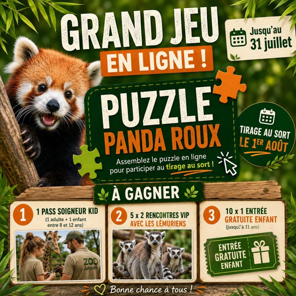 Vignette Jeu concours