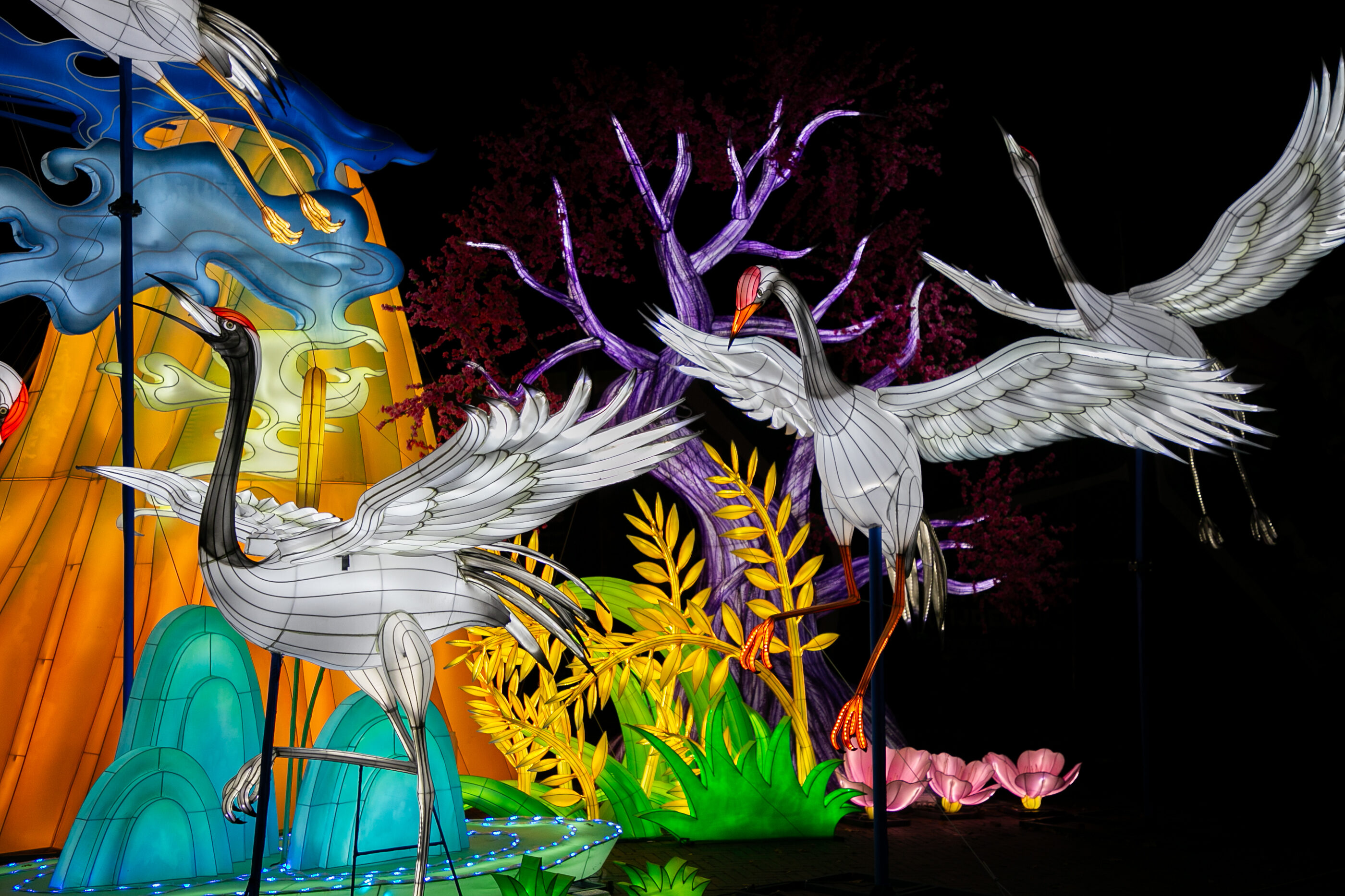 Jungle de lumières 2026 - grues japonaises